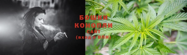 круглые Бородино