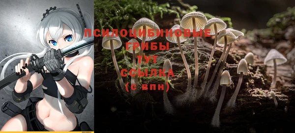 каннабис Бронницы