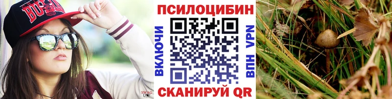 Галлюциногенные грибы Psilocybe Санкт-Петербург