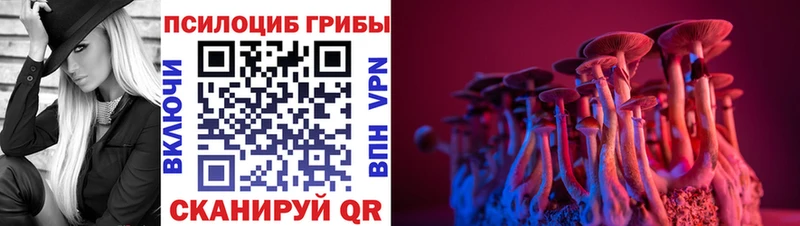 Псилоцибиновые грибы прущие грибы  Купить закладки  Санкт-Петербург 
