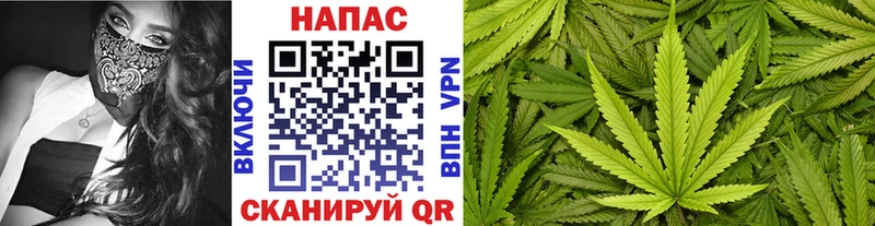 Каннабис SATIVA & INDICA Санкт-Петербург